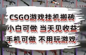 CSGO游戏挂G搬砖，小白纯手机即可操作，不用电脑打游戏，日入3张+，副业网创项目【揭秘】-水滴知识网