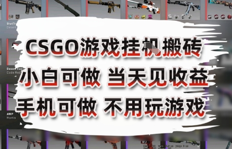 CSGO游戏挂G搬砖，小白纯手机即可操作，不用电脑打游戏，日入3张+，副业网创项目【揭秘】-水滴知识网