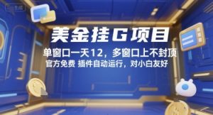 美金挂G项目，单窗口一天12，多窗口上不封顶，官方免费插件自动运行，对小白友好【揭秘】-水滴知识网