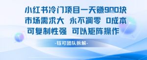 小红书冷门项目一天收益9张,市场需求大,0成本,可复制性强可以矩阵操作-水滴知识网