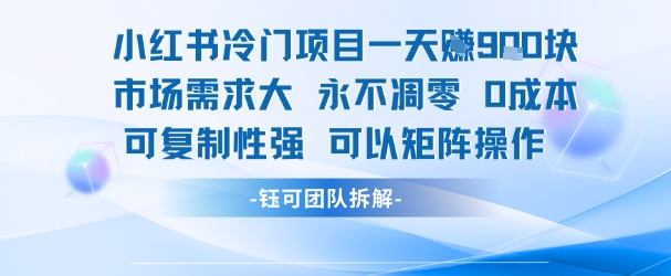 小红书冷门项目一天收益9张,市场需求大,0成本,可复制性强可以矩阵操作-水滴知识网