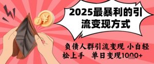 2025年最暴利的引流变现方式，负债人群引流变现，小白轻松上手，日入1k-水滴知识网