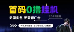 首码0撸全自动挂G项目，无需实名无需看广告，小白轻松日入3位数，多号短阵收益无上限【揭秘】-水滴知识网