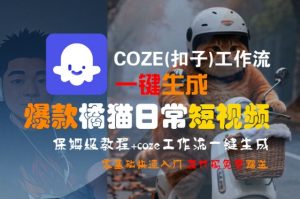 COZE(扣子)工作流一键生成爆款橘猫日常短视频,保姆级教程,零基础快速入门-水滴知识网