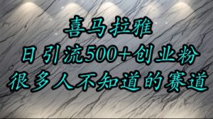 喜马拉雅,小而精的流量赛道,日进500+精准创业粉-水滴知识网