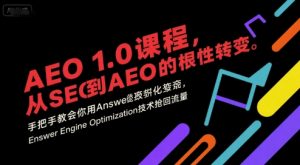 AEO 1.0 课程,从SEO到AE0的基命性转变,手把手教会你用AnswerEngineOptimization技术抢回流量-水滴知识网