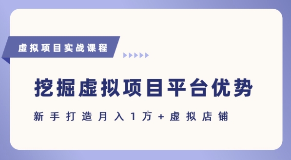 抓住虚拟项目各平台优势,新手轻松月入1W+(给出具体建议)-水滴知识网