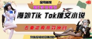 海外tiktok小说推文暴力项目,高停留率,高转化率,上手后一天搞顿饭钱不是问题-水滴知识网