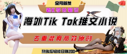 海外tiktok小说推文暴力项目,高停留率,高转化率,上手后一天搞顿饭钱不是问题-水滴知识网