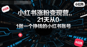 小红书涨粉变现营，21天从0-1做一个挣钱的小红书账号-水滴知识网
