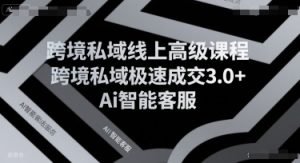 跨境私域线上高级课程，跨境私域极速成交3.0+Ai智能客服-水滴知识网