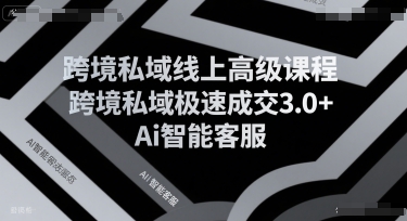 跨境私域线上高级课程，跨境私域极速成交3.0+Ai智能客服-水滴知识网