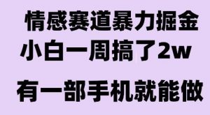 情感暴力掘金项目，新人操作一周挣了2W，长期稳定小白可做【揭秘】-水滴知识网