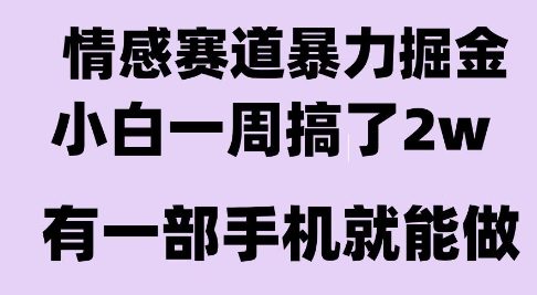 情感暴力掘金项目，新人操作一周挣了2W，长期稳定小白可做【揭秘】-水滴知识网