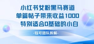 小红书女粉黑马赛道单篇帖子带来收益1k+，特别适合0基础的小白-水滴知识网