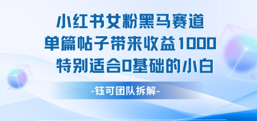 小红书女粉黑马赛道单篇帖子带来收益1k+，特别适合0基础的小白-水滴知识网