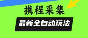 携程信息采集全自动玩法，0风控，无脑开干【揭秘】-水滴知识网