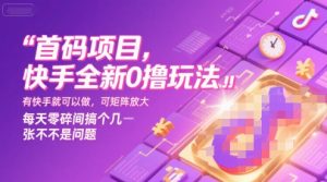 首码项目,快手全新0撸玩法,有快手就可以做,可矩阵放大,每天零碎时间搞个几张不是问题【揭秘】-水滴知识网