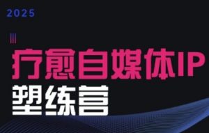 2025治愈自媒体IP训练营,专为疗愈领域从业者打造-水滴知识网