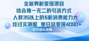 全新男粉变现项目引流人群35以上的男粉消费能力大 经过实测单日变现1k+-水滴知识网