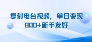 复刻电台视频，单日变现8张+新手友好，长期可做-水滴知识网