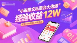 小说推文私董会大佬爆单经验分享收益12W，番茄小说每天稳定4位数收益-水滴知识网