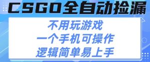 CSGO自动捡漏项目,最新独家玩法,不用挂G不用玩游戏,一个手机即可操作,新手小白轻松月入1W+【揭秘】-水滴知识网