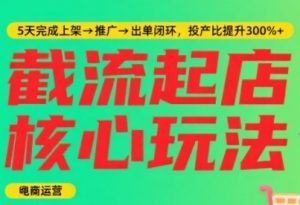 淘宝截流快速起店玩法,掌握暴力快速起店的流程,5天完成上架-推广-出单闭环-水滴知识网