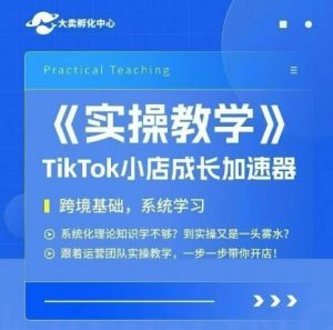 大卖家孵化中心TikTok实操课,TikTok小店成长加速器,跨境基础系统学习,一步一步带你开店-水滴知识网