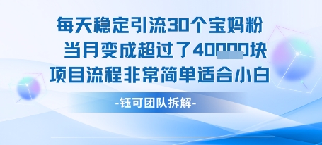 每天稳定引流30个人 当月变成超过了4个W项目流程非常简单适合小白-水滴知识网