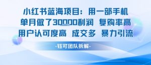 小红书蓝海项目，一部手机单月做了3W利润，小白也能月入过1W用户认可度高成交多-水滴知识网