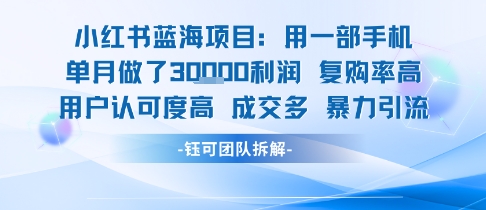 小红书蓝海项目,一部手机单月做了3W利润,小白也能月入过1W用户认可度高成交多-水滴知识网