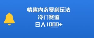 情趣内衣暴利玩法,冷门赛道,日入1k+-水滴知识网