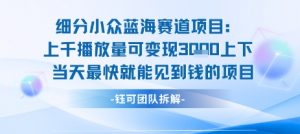 小众蓝海赛道项目：当天变现1k+适合新手操作 +适合长期玩-水滴知识网