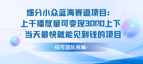 小众蓝海赛道项目:当天变现1k+适合新手操作 +适合长期玩-水滴知识网