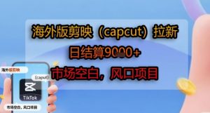 海外版剪映(capcut)拉新，日结算1k+，市场空白，风口项目-水滴知识网