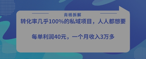 转化率最高的私域项目，每单利润40-50米，月入过1w-水滴知识网