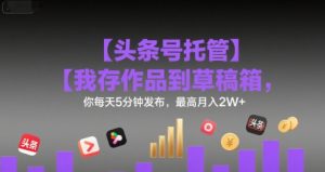【头条号托管 】我存作品到草稿箱,你每天5分钟发布,最高月入2W+【揭秘】-水滴知识网