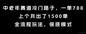 中老年赛道冷门路子，一单788，上个月出了1500单，全流程玩法，保底模式【揭秘】-水滴知识网