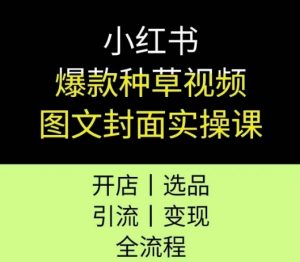 小红书爆款种草视频图文封面实操课,开店、选品、引流、变现全流程-水滴知识网