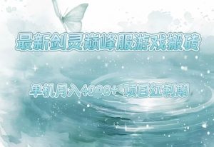 最新剑灵巅峰服游戏搬砖，项目红利期，单机稳定月入4k+操作简单好上手【揭秘】-水滴知识网