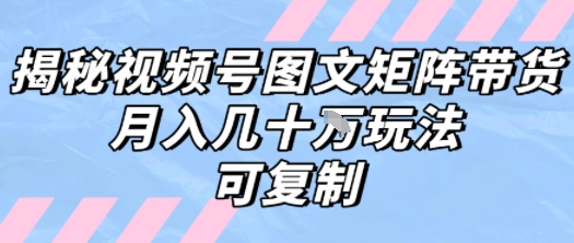 解密视频号图文矩阵带货,月入几个W的打法,可复制-水滴知识网