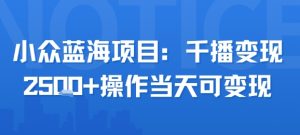 小众蓝海项目，千播变现2.5k+操作当天可变现-水滴知识网