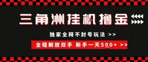 三角洲全自动挂G撸金,新手轻松一天5张+,无脑搬砖【揭秘】-水滴知识网