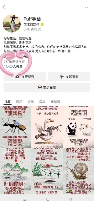 Puff手绘视频号分成项目，三天过分成计划，简单易上手，适合新手-水滴知识网