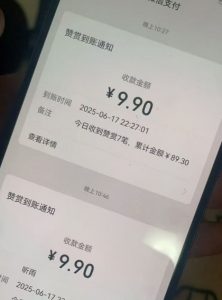 二次元男粉快速变现项目,私域卖虚拟产品,百分利润-水滴知识网