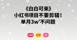 小白可来 小红书项目不需要剪辑 单月3w不是问题-水滴知识网