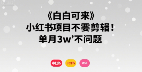 小白可来 小红书项目不需要剪辑 单月3w不是问题-水滴知识网