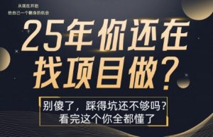 25年,你还在疯狂的找项目吗?别傻了,看完这个你都懂了【揭秘】-水滴知识网