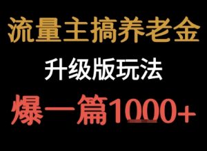 流量主之养老金升级版玩法 爆一篇收益1k+-水滴知识网